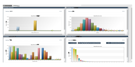 Développement agile pour la conception de tableaux de bord dynamiques